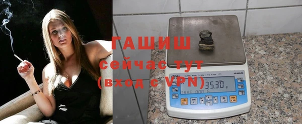 индика Абаза