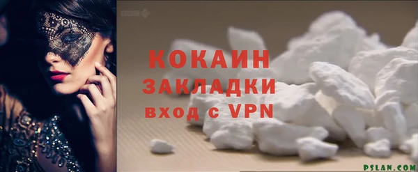 индика Осинники