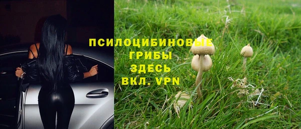 СК Алзамай