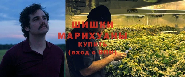 индика Осинники
