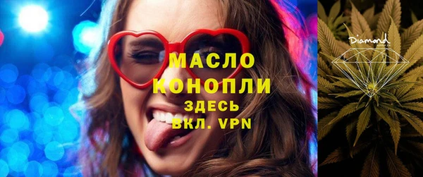 индика Абаза