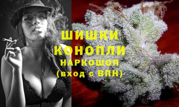 гидра Алексин