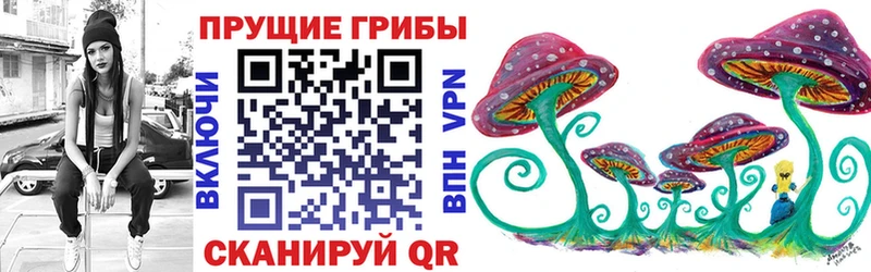 сколько стоит  МЕГА вход  Псилоцибиновые грибы мицелий  Касимов 